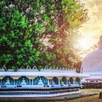 Screenshot 2023 05 22 18 14 57 17